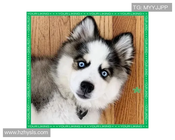 小罗独特发型揭秘:如何打造足球明星的时尚风格与个性魅力 小罗独特发型揭秘:如何打造足球明星的时尚风格与个性魅力