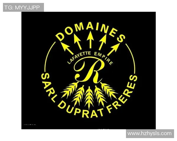 全面解析全球知名体育品牌商标名称及其背后的故事与文化意义