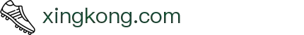 xingkong星空-(集团)智能科技股份有限公司网站