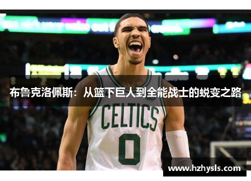布鲁克洛佩斯：从篮下巨人到全能战士的蜕变之路